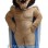 Power ‌Regal Lion Mascot Costume