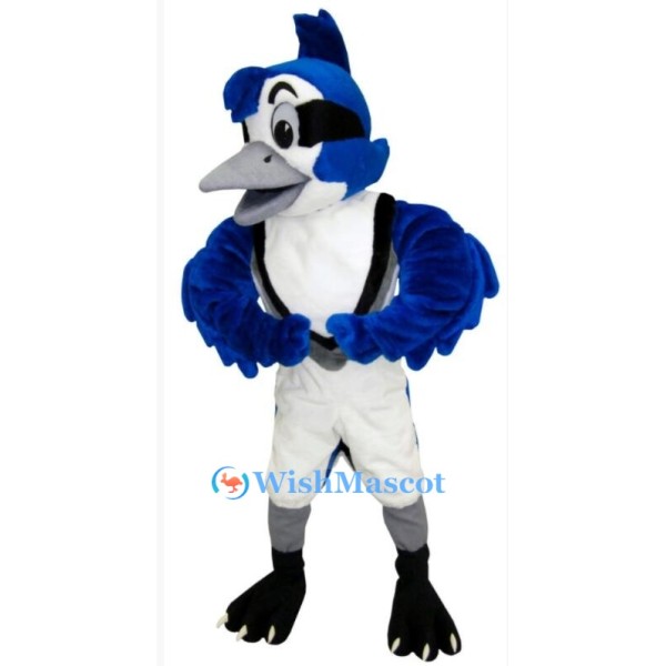 ‌Blue Jay Mascot Costume