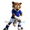 Football Fox Mascot Costume