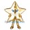 ‌Shiny Gold Star Mascot Costume