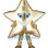 ‌Shiny Gold Star Mascot Costume