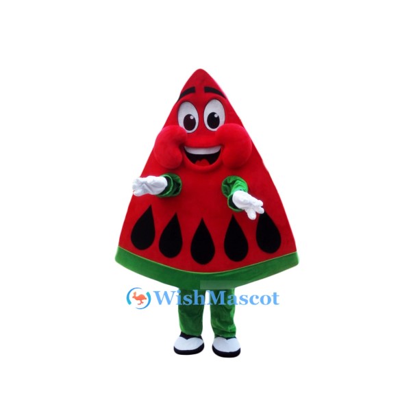 Party Watermelon Mascot Costume