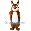 ‌Cute Furry Squirrel Mascot Costume