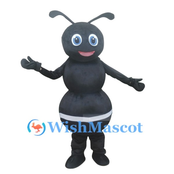 Friendly Black Ant Mascot Costume