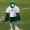 Football Green Falcon Mascot Costume