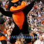 Baltimore Orioles Mascot Costume
