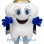 Crown Tooth Mascot Costume
