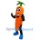 Carrot Mascot Costume