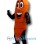 Carrot Mascot Costume