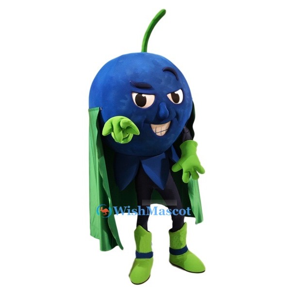‌Blue Berry Mascot Costume