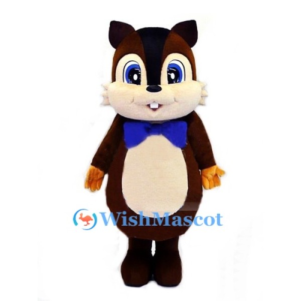 Lovely Little Squirrel Mascot Costume