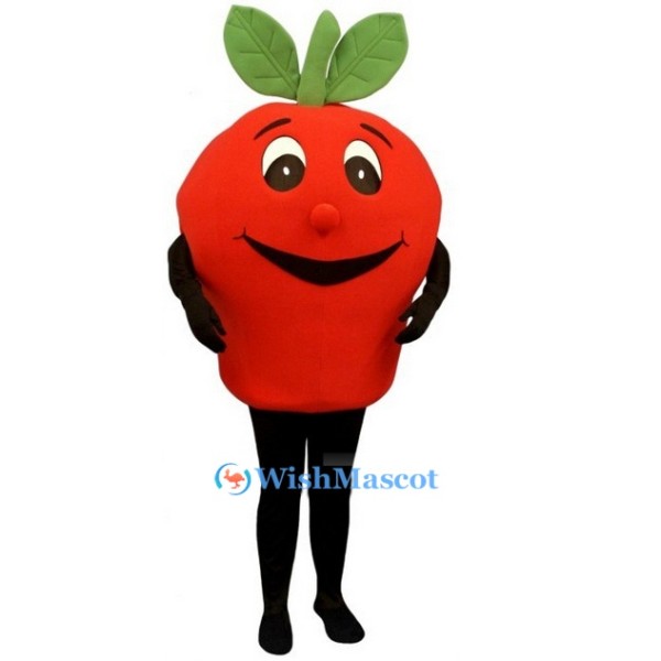 Cartoon Red Apple Mascot Costume