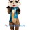 Cute Raccoon Mascot Costume