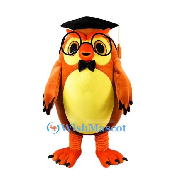 Doctor Owl Mascot Costume