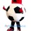 ‌Football Mascot Costume