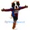 Colorado Avalanche Mascot Costume