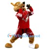 ‌Arizona Coyotes Mascot Costume
