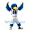 Air Force Falcons Mascot Costume