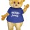 bear mascot costume