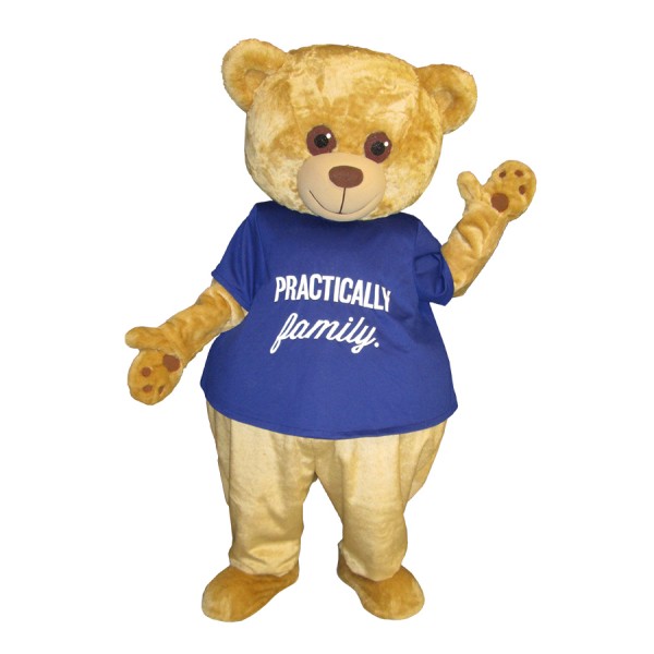 bear mascot costume