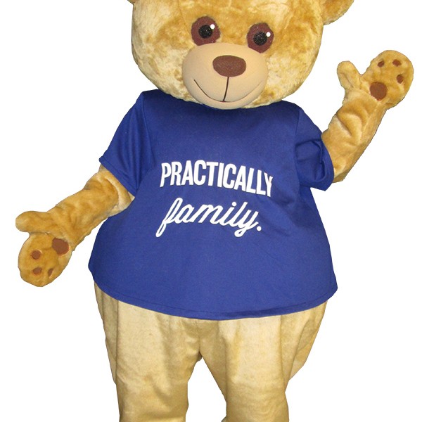bear mascot costume