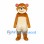 Bear Mascot Costume in Brown with Cream Belly