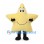 Star Mascot Costume in Yellow with Smiling Face