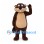 Beaver Mascot Costume in Brown with Cream Belly and Buck Teeth