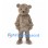 Bear Mascot Costume in Gray with Round Belly