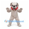 Bulldog Mascot Costume in Gray with Spotted Belly and Red Collar