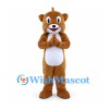 Bear Mascot Costume in Brown with White Belly