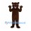 Bear Mascot Costume in Dark Brown with Open Mouth and Paw Pads