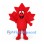 Maple Leaf Mascot Costume in Red with Smiling Face