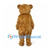 Bear Mascot Costume in Brown with Round Belly
