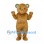 Bear Mascot Costume in Brown with Round Belly
