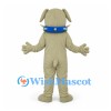 Bulldog Mascot Costume in Cream with Blue Studded Collar