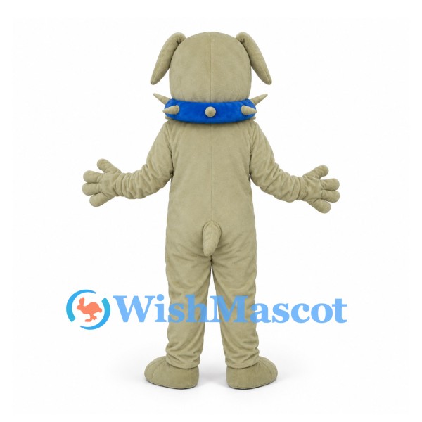 Bulldog Mascot Costume in Cream with Blue Studded Collar