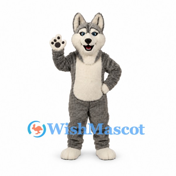 Husky Mascot Costume in Gray with White Belly