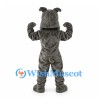 Bulldog Mascot Costume in Gray with Studded Collar