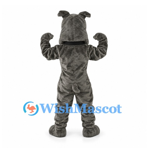 Bulldog Mascot Costume in Gray with Studded Collar