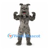 Bulldog Mascot Costume in Gray with Studded Collar