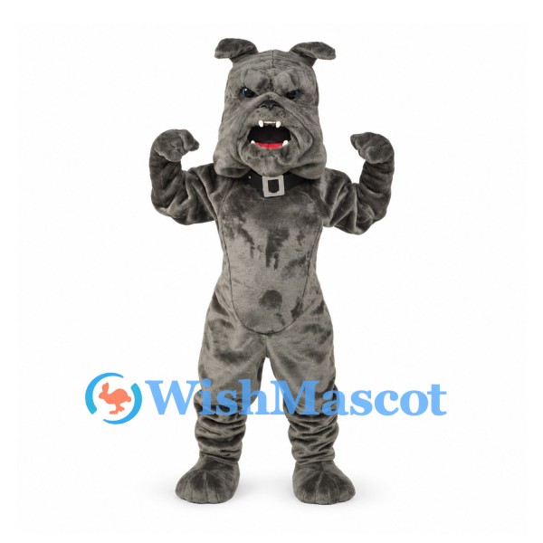 Bulldog Mascot Costume in Gray with Studded Collar
