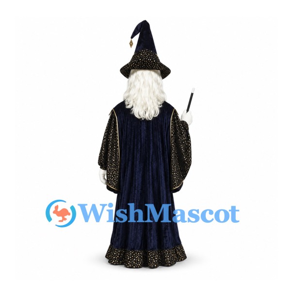 Wizard Mascot Costume with Navy Robe and Star Hat