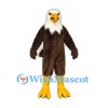 Bald Eagle Mascot Costume in Brown with Large White Head