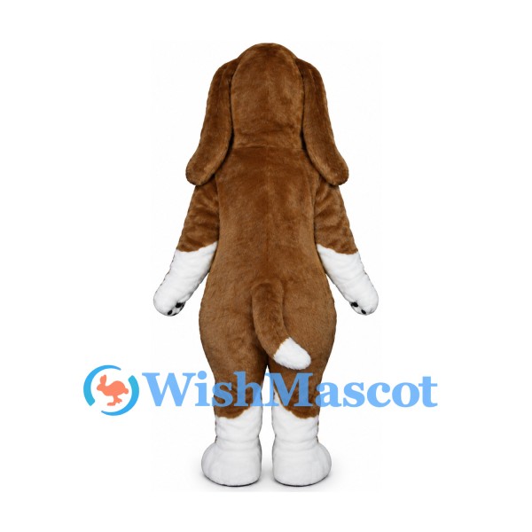 Basset Hound Mascot Costume in Brown and White with Long Ears