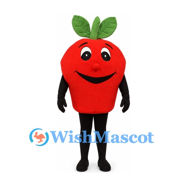 Apple Mascot Costume in Red with Green Leaves