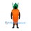 Carrot Mascot Costume in Orange with Green Leaves