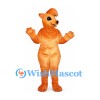 Cat Mascot Costume in Orange with Cream Belly