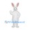 Rabbit Mascot Costume in White with Tall Ears