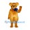 Bear Mascot Costume in Golden Brown with Blue Bow